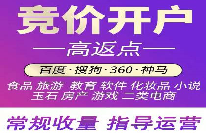 百度竞价代运营公司成功案例分析